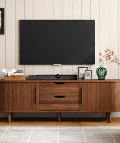 Modern TV Stand
