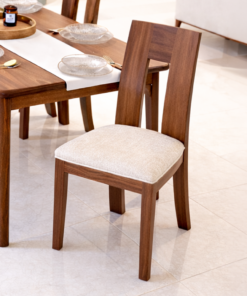 Dining Chair with Cushion Seat