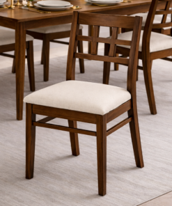 Minimalist Dining Chair