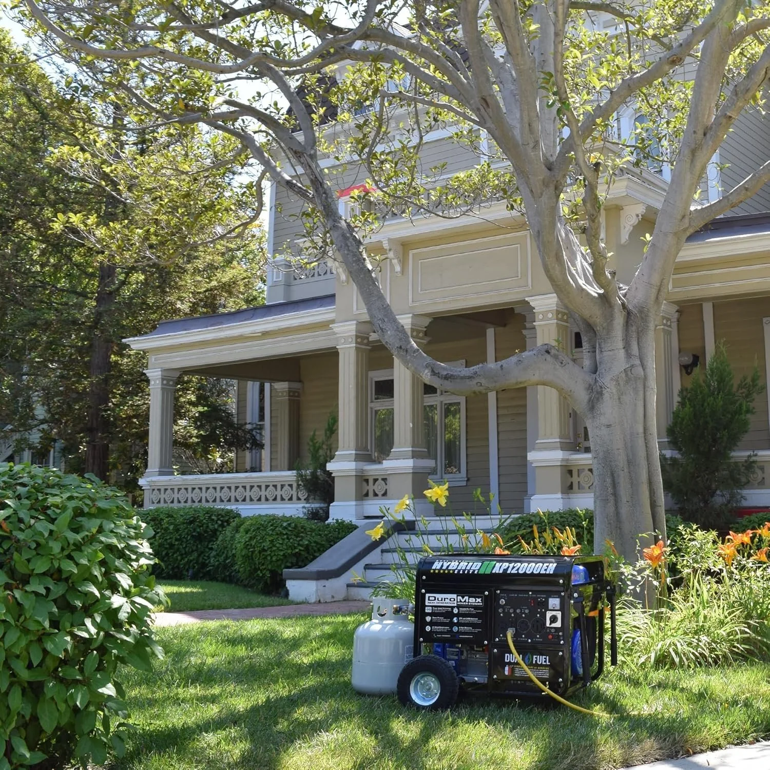 DuroMax XP12000EH 12,000 Watt Dual Fuel Portable Generators. - Image 4